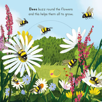 National Trust: Big Outdoors for Little Explorers: Countryside