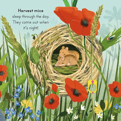 National Trust: Big Outdoors for Little Explorers: Countryside