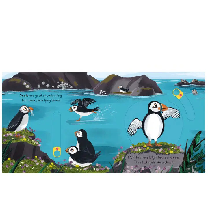 National Trust: Big Outdoors for Little Explorers: Seaside