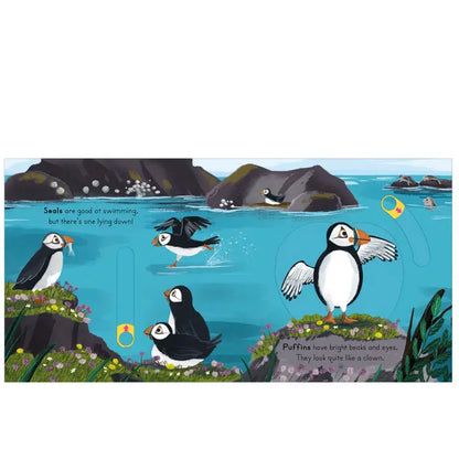 National Trust: Big Outdoors for Little Explorers: Seaside