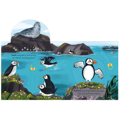 National Trust: Big Outdoors for Little Explorers: Seaside