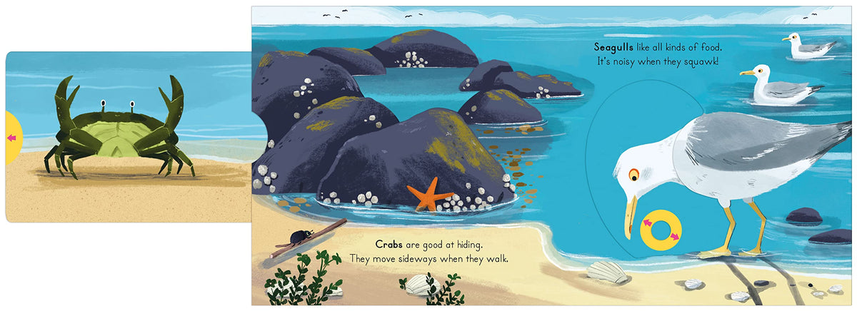 National Trust: Big Outdoors for Little Explorers: Seaside