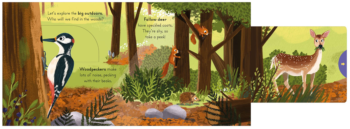 National Trust: Big Outdoors for Little Explorers: Woods