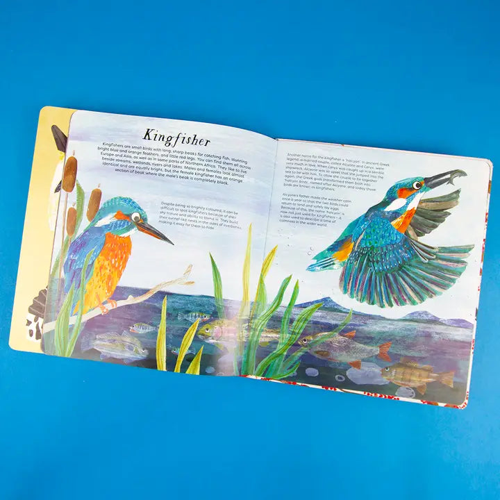 National Trust: Birds of a Feather Press-Out Activity Book