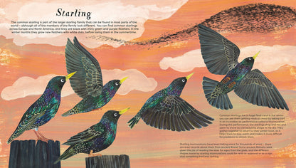 National Trust: Birds of a Feather Press-Out Activity Book