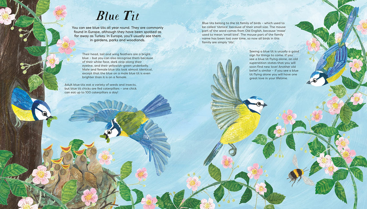 National Trust: Birds of a Feather Press-Out Activity Book