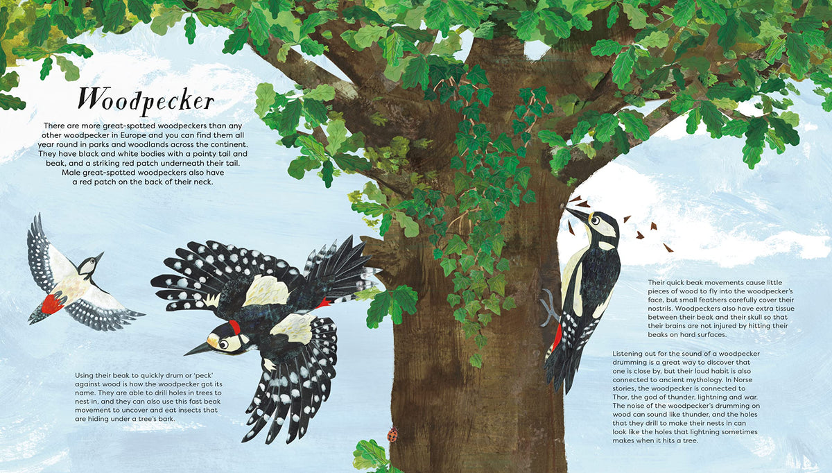 National Trust: Birds of a Feather Press-Out Activity Book