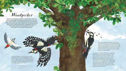 National Trust: Birds of a Feather Press-Out Activity Book