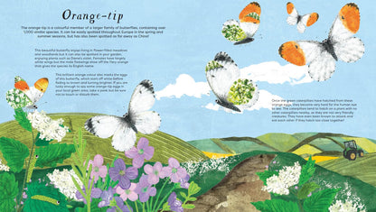National Trust: Butterfly Skies Press-Out Activity Book