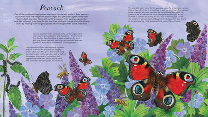 National Trust: Butterfly Skies Press-Out Activity Book