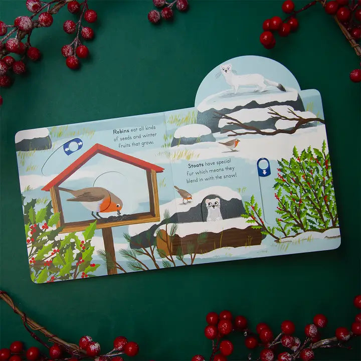National Trust: Big Outdoors for Little Explorers: Snow