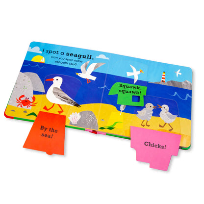 National Trust: I Spot a Duck Lift-the-Flap Board Book
