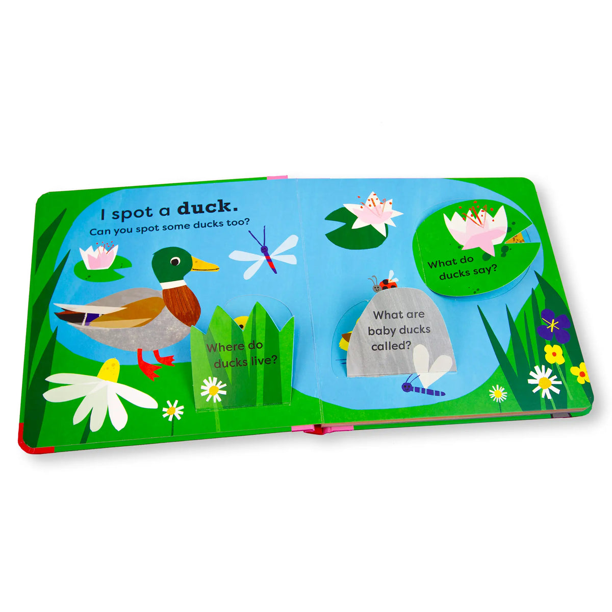 National Trust: I Spot a Duck Lift-the-Flap Board Book