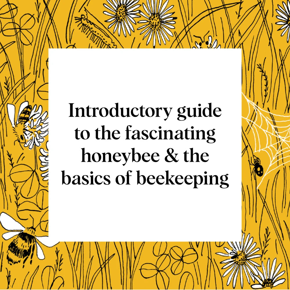 Pocket Nature: Beekeeping Hardback