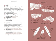 Pocket Nature: Bird-Watching Hardback
