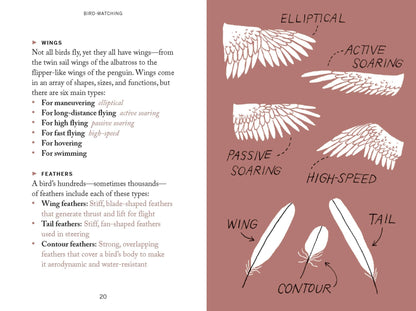 Pocket Nature: Bird-Watching Hardback