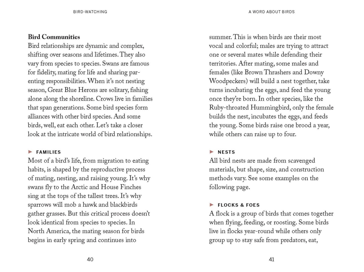 Pocket Nature: Bird-Watching Hardback