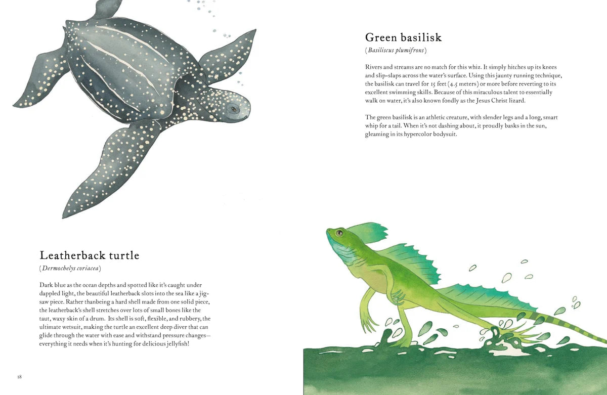 The Colorful World of Reptiles Hardback
