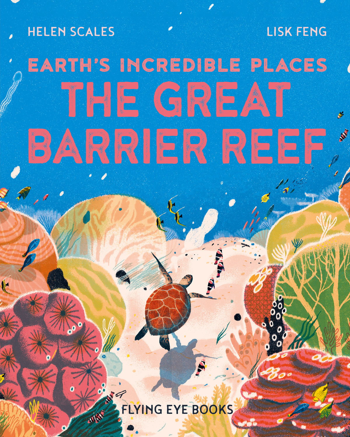 The Great Barrier Reef (paperback) Educational Book