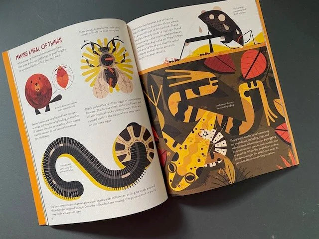 Bonkers About Beetles Paperback