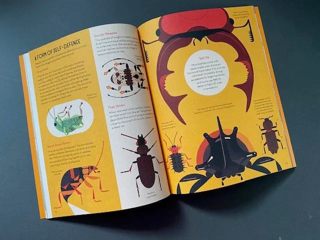 Bonkers About Beetles Paperback