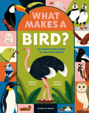 What Makes a Bird? Illustrated Hardback Guide