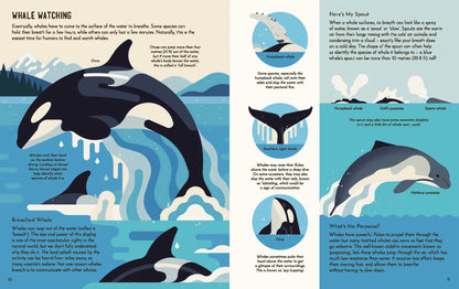 Wild About Whales Hardback