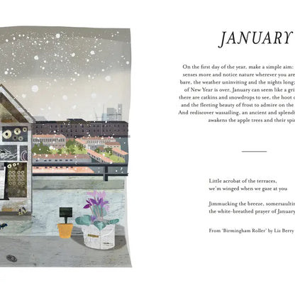 Urban Nature Every Day Hardback