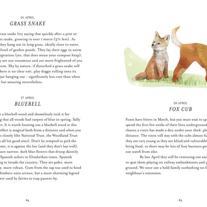 Urban Nature Every Day Hardback