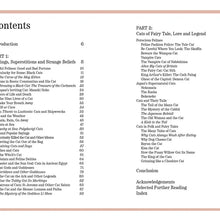 Curious Cats and Fantastical Felines Hardback