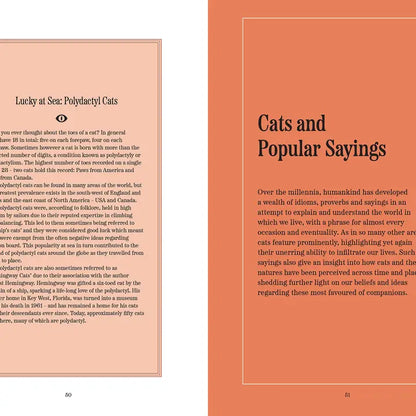 Curious Cats and Fantastical Felines Hardback
