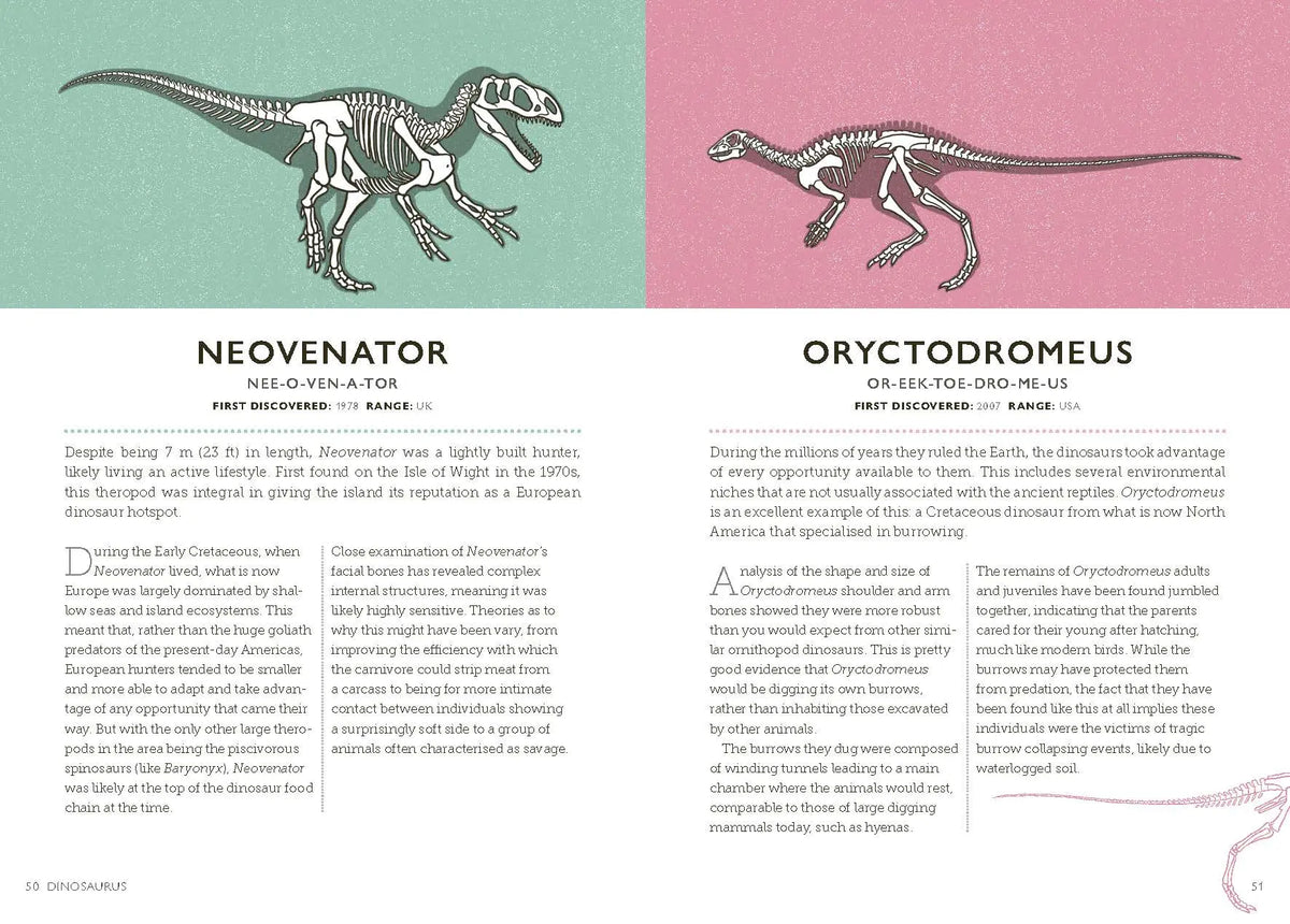 Dinosaurus: A Prehistoric Dictionary Hardback