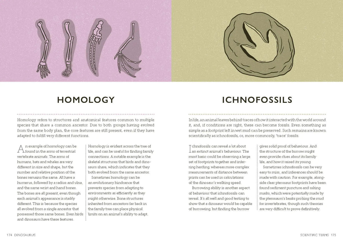 Dinosaurus: A Prehistoric Dictionary Hardback