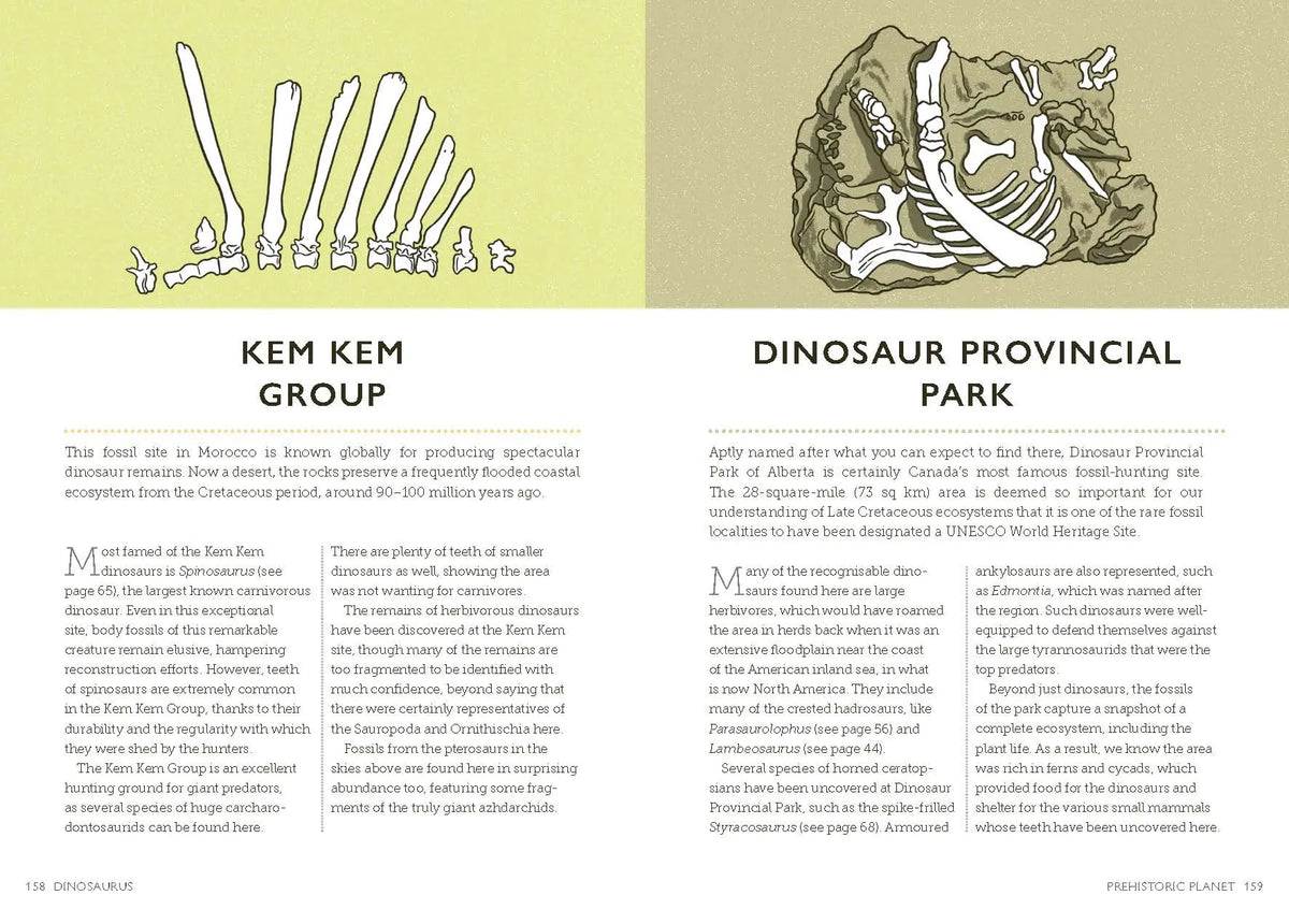 Dinosaurus: A Prehistoric Dictionary Hardback