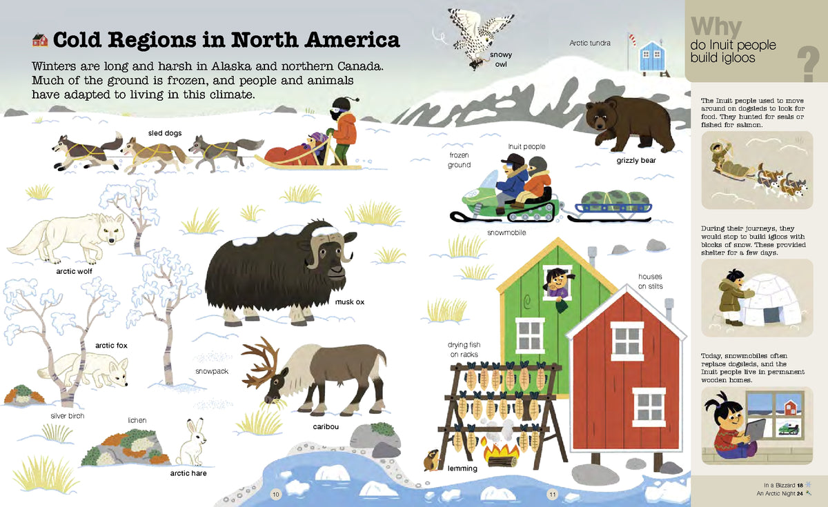 Do You Know? Polar Animals Hardback