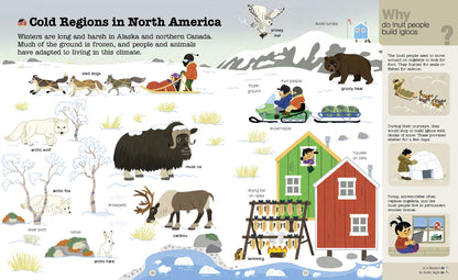 Do You Know? Polar Animals Hardback