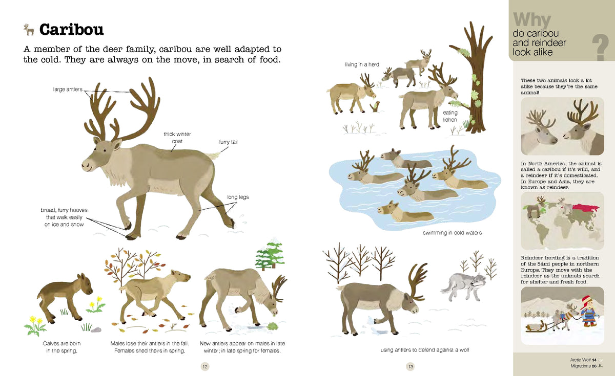 Do You Know? Polar Animals Hardback