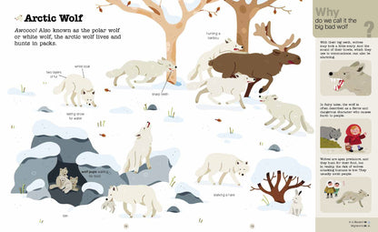 Do You Know? Polar Animals Hardback