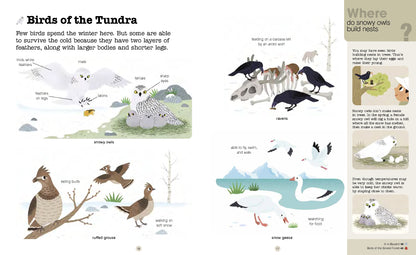 Do You Know? Polar Animals Hardback