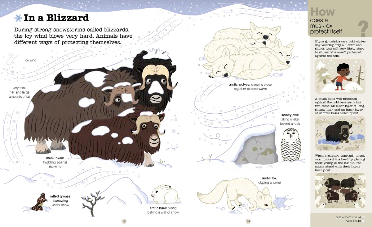 Do You Know? Polar Animals Hardback