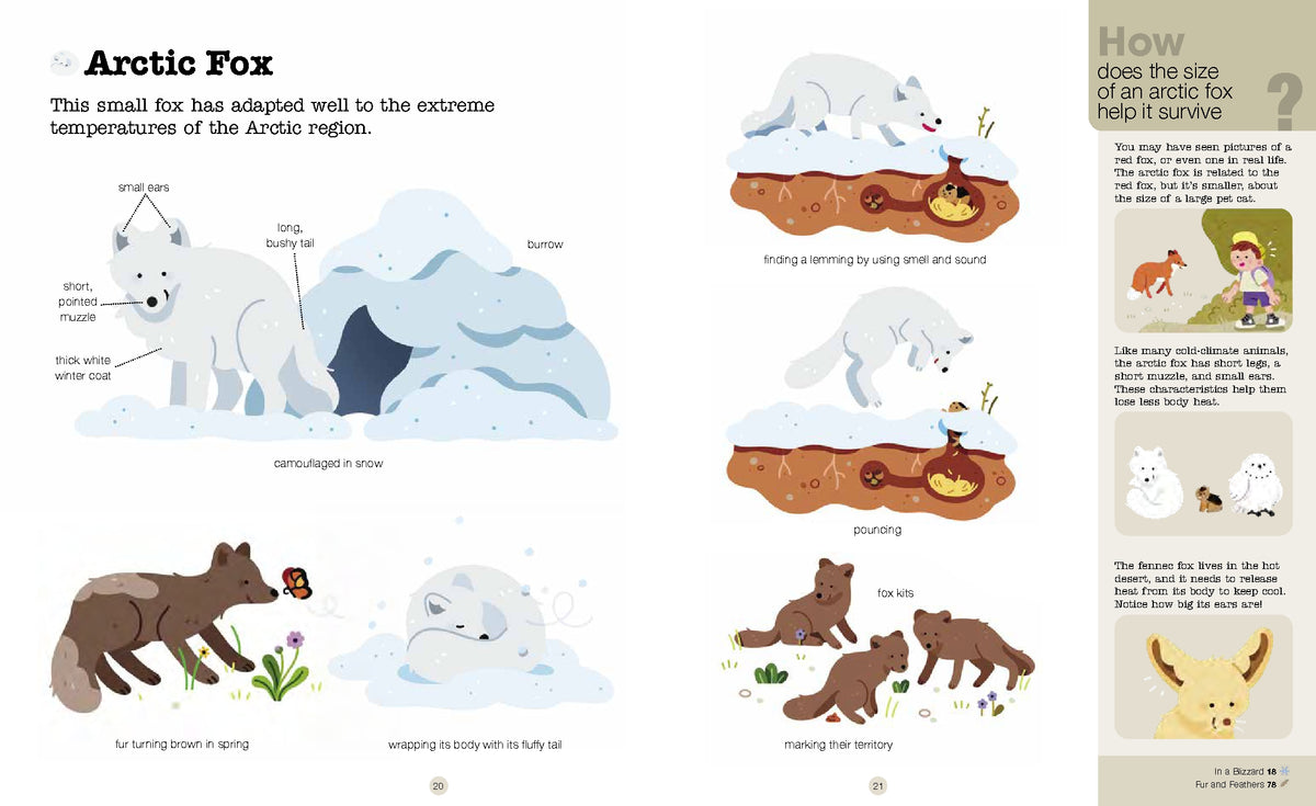 Do You Know? Polar Animals Hardback