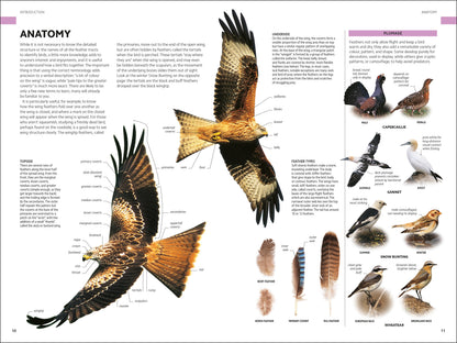 RSPB Birds of Britain and Europe Photographic Field Guide