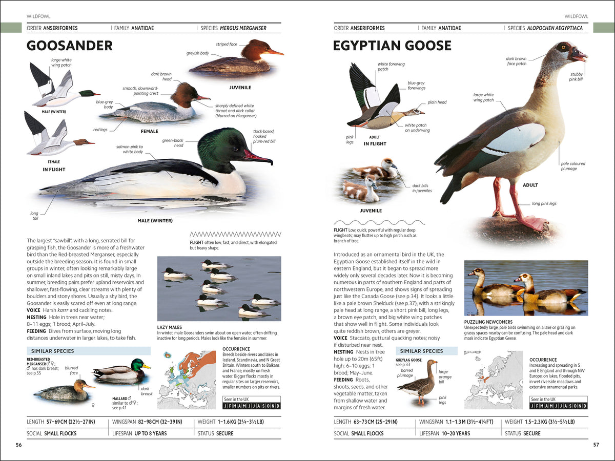 RSPB Birds of Britain and Europe Photographic Field Guide