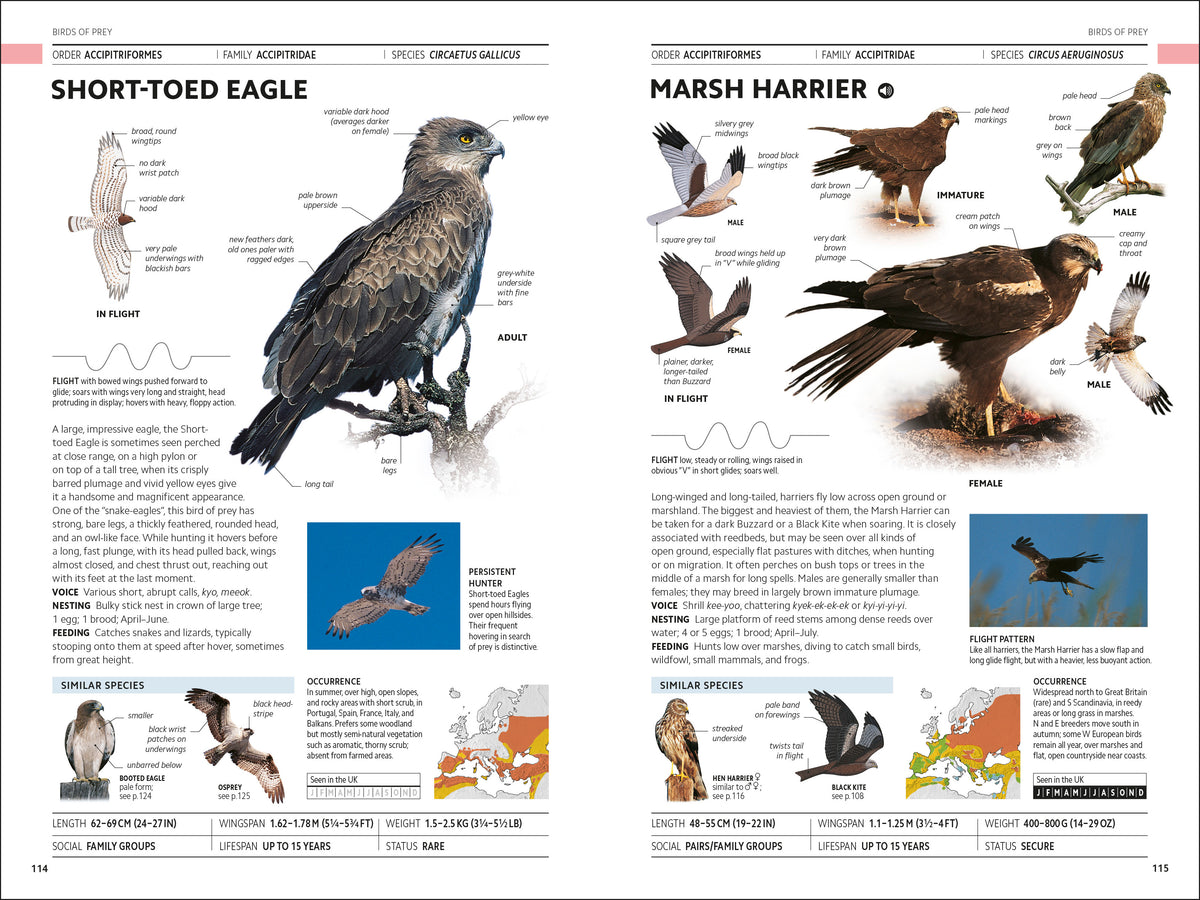 RSPB Birds of Britain and Europe Photographic Field Guide