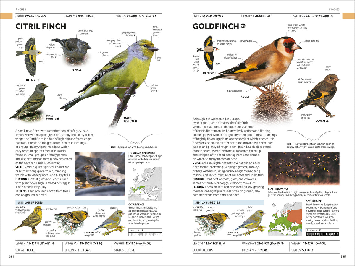 RSPB Birds of Britain and Europe Photographic Field Guide