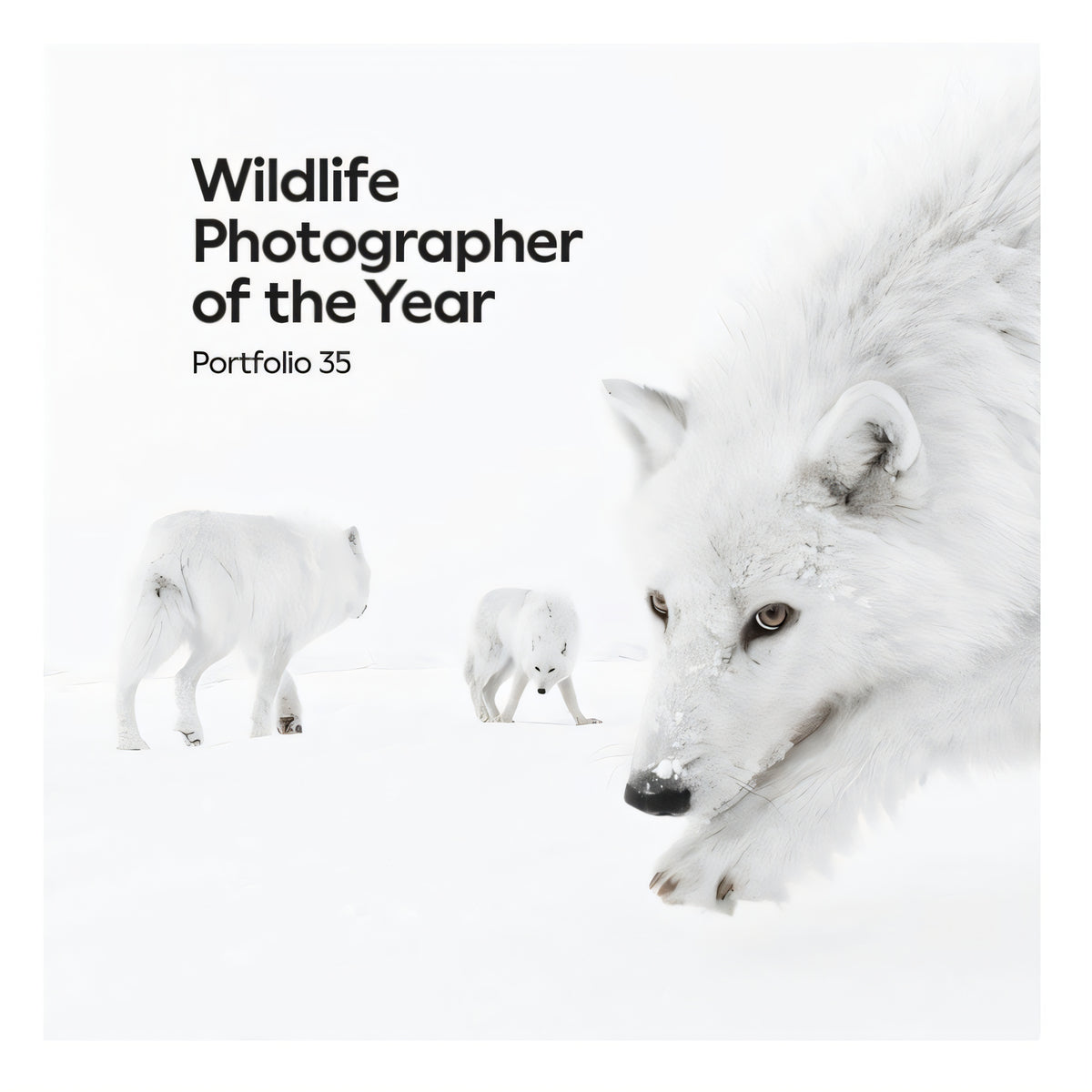 Wildlife Photographer of the Year: Portfolio 35 Nature Book