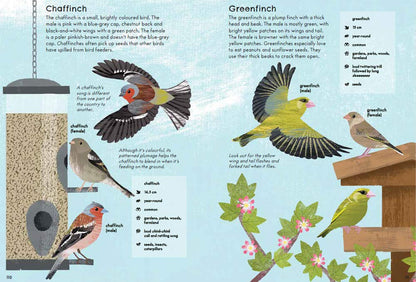 RSPB Nature Guide: Birds Illustrated Field Guide