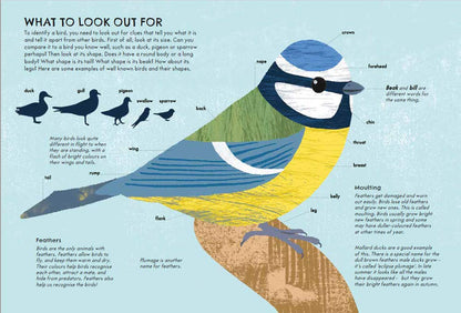 RSPB Nature Guide: Birds Illustrated Field Guide