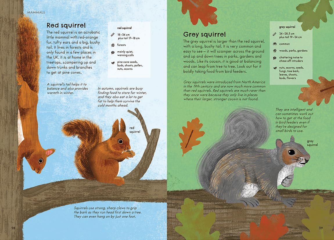 RSPB Nature Guide: Wildlife Illustrated Field Guide