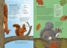 RSPB Nature Guide: Wildlife Illustrated Field Guide